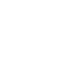 x icon